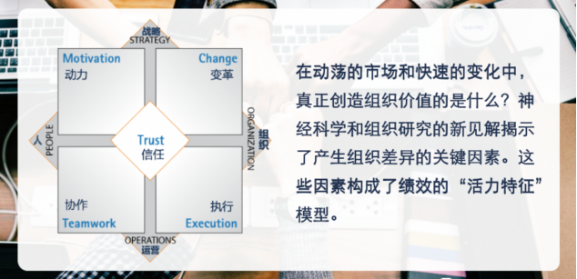 年中蓄力｜提升团队协作、执行、动力的管理精要