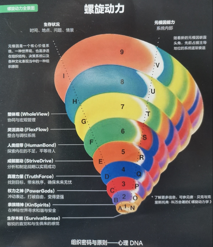 马国宜｜个体和企业文化适配么？从这个视角能快速看懂