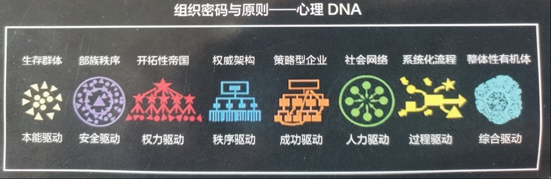 马国宜｜个体和企业文化适配么？从这个视角能快速看懂