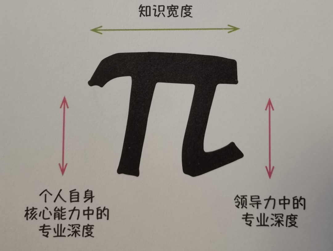 特别棒的领导是π型的